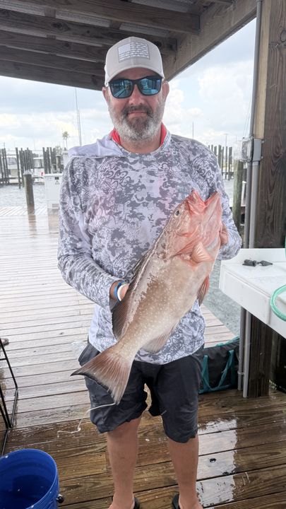 Beautiful Panama City red grouper from the docks!