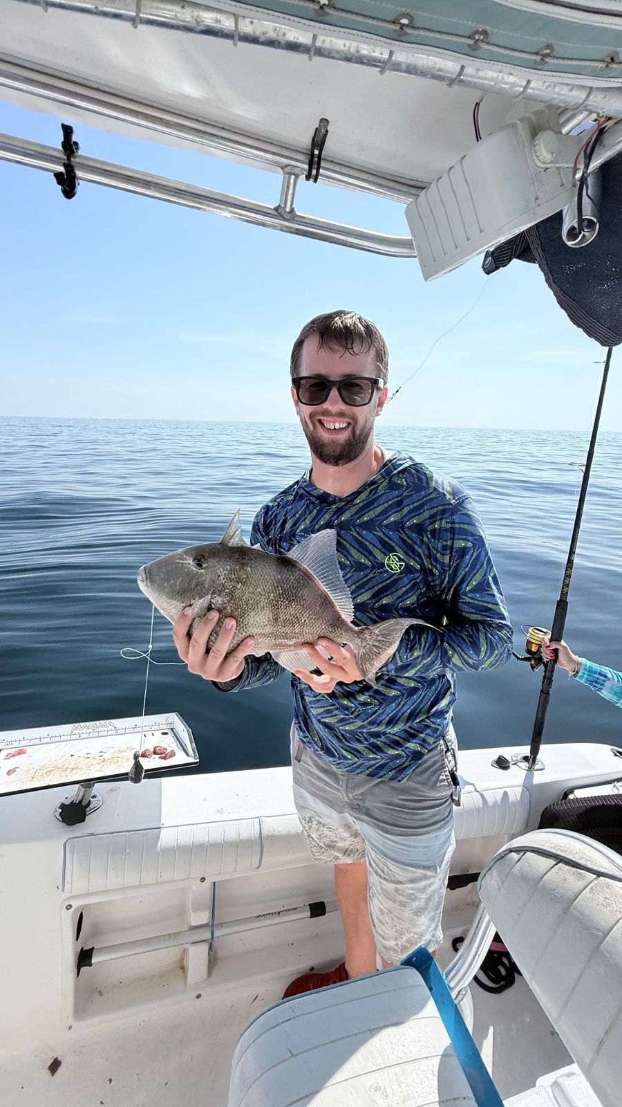 Grey triggerfish caught during fishing charter in Panama City FL