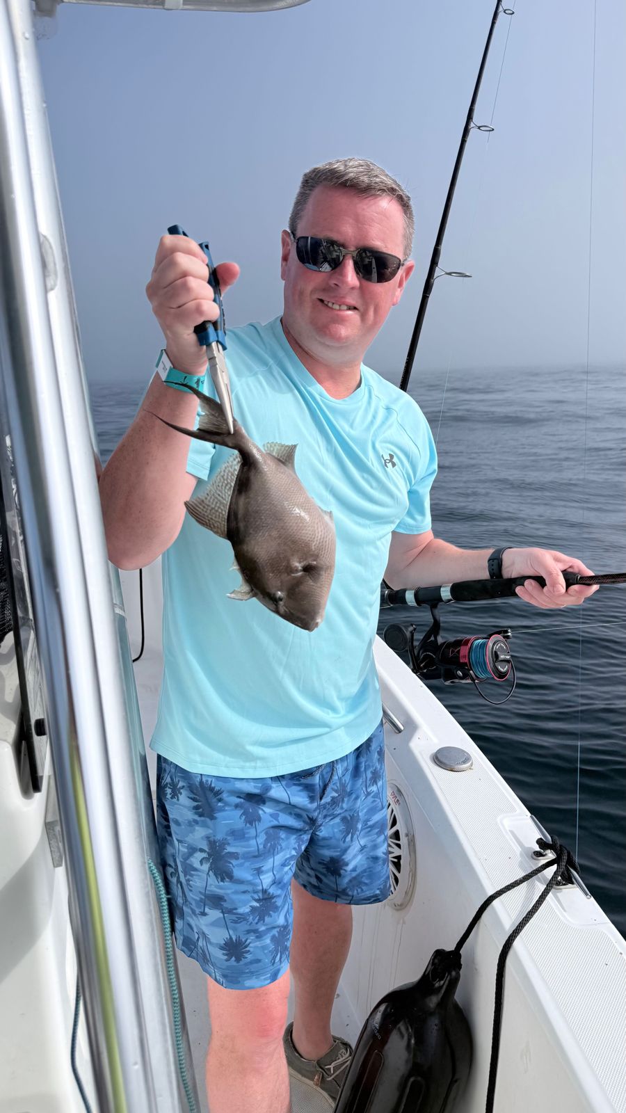Photograph of a grey triggerfish caught while fishing in Callaway