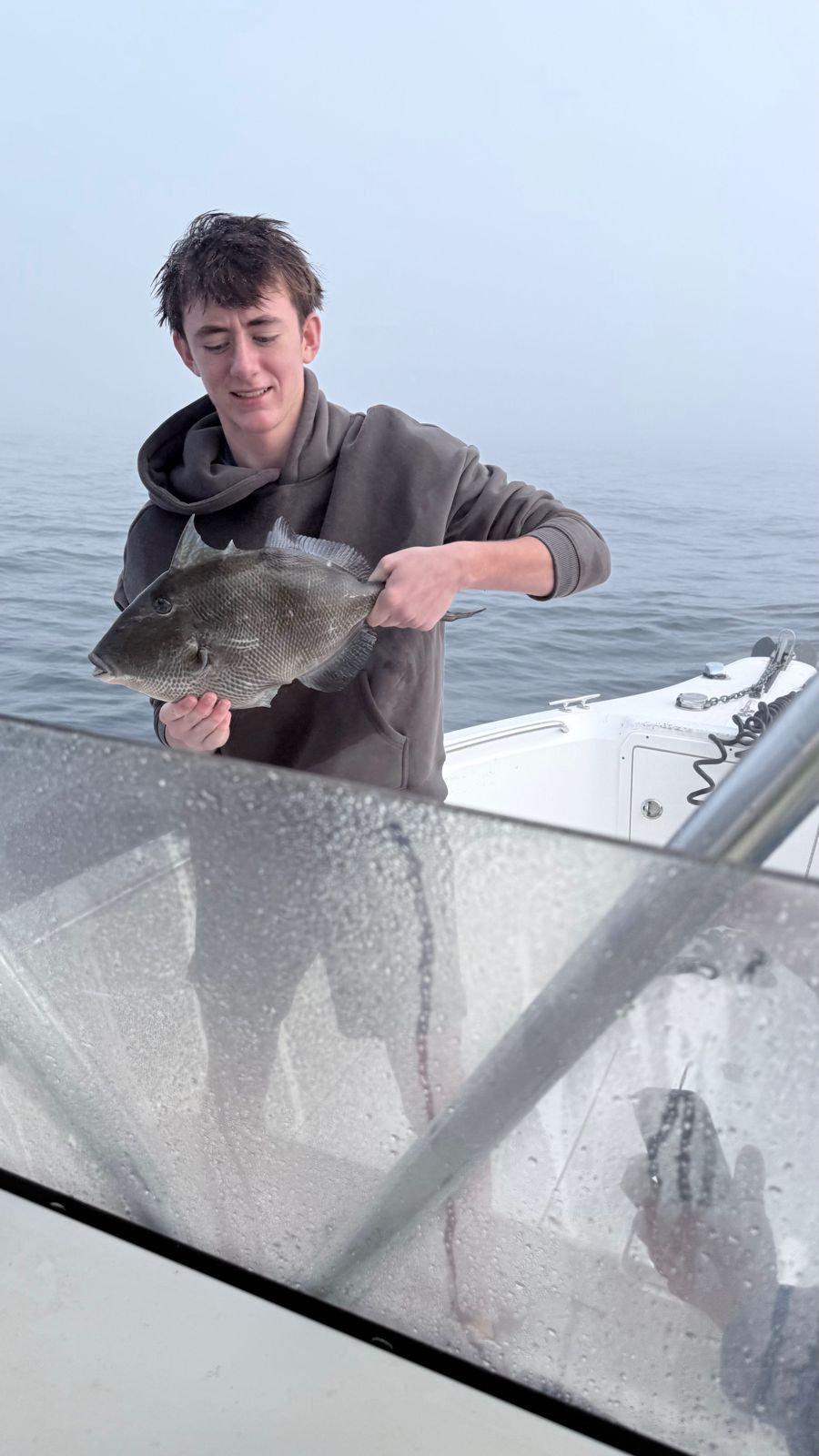 Grey Triggerfish caught while fishing in FL
