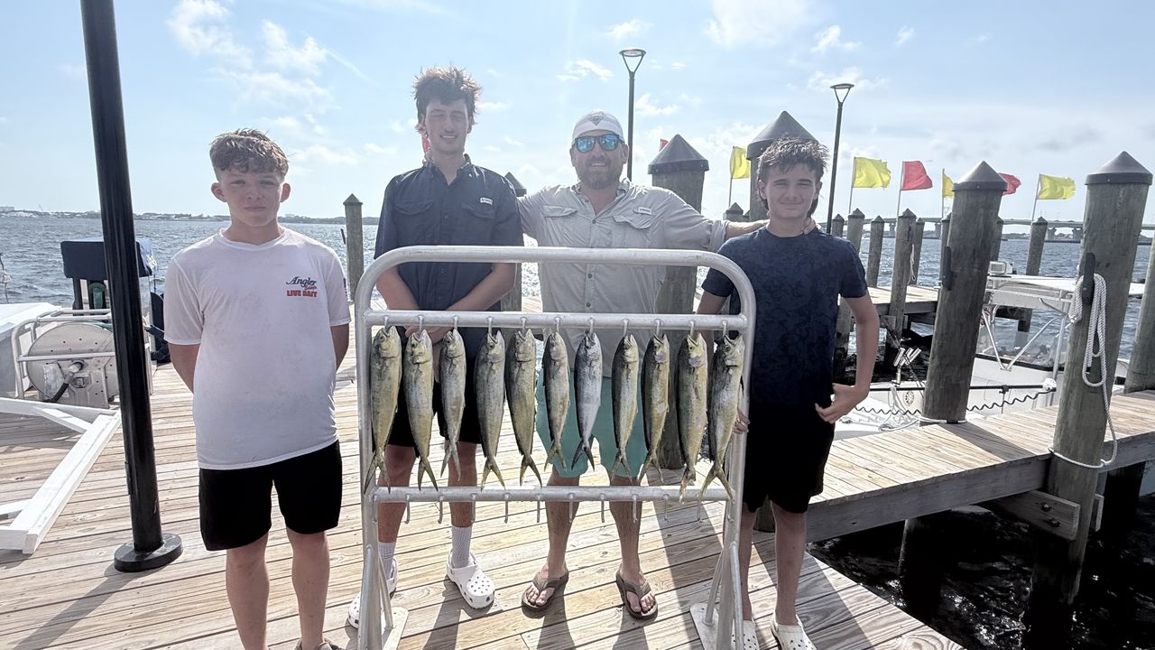 Epic Mahi Mahi haul in Panama City waters!