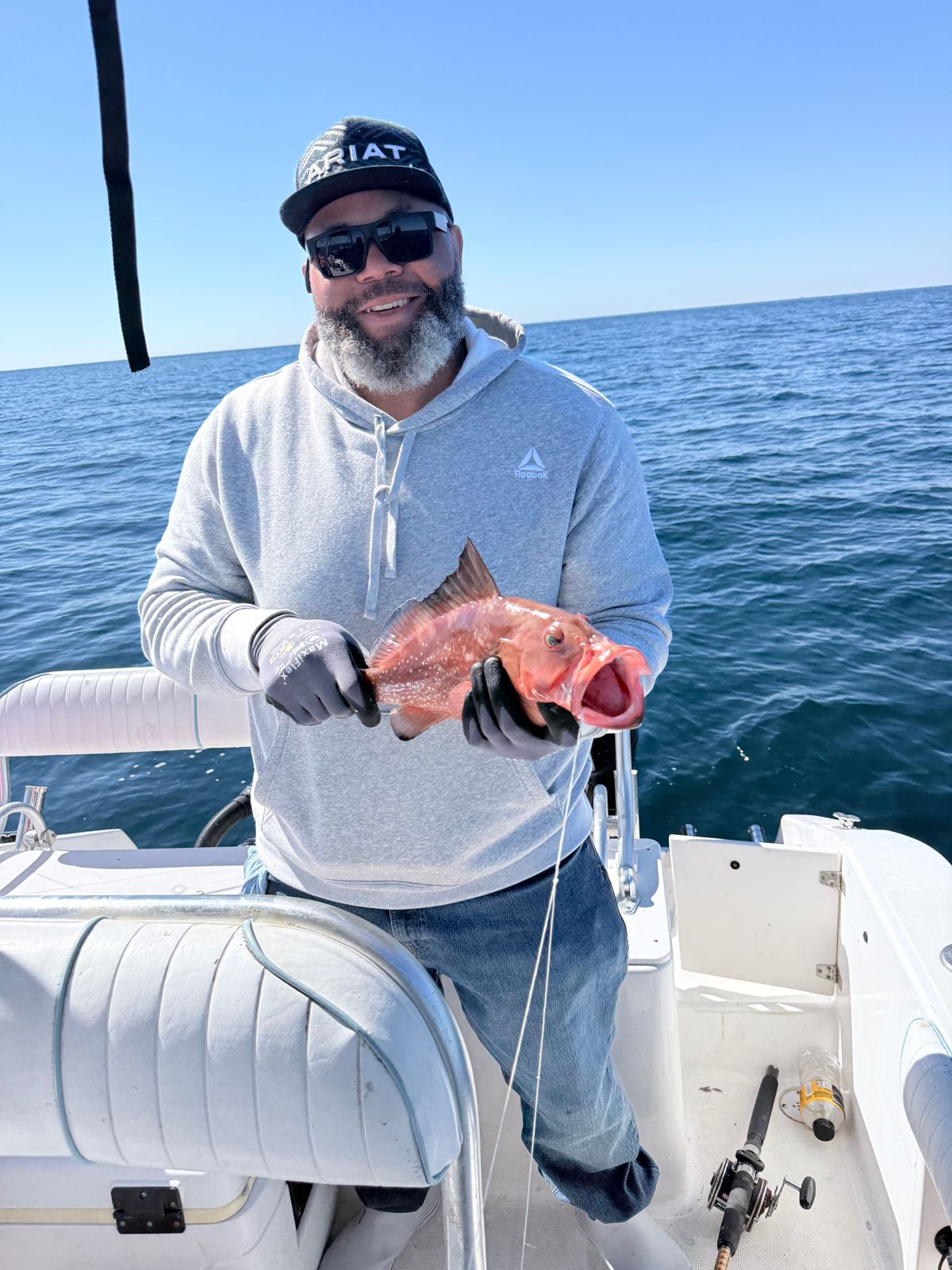 Red Grouper fish in Callaway