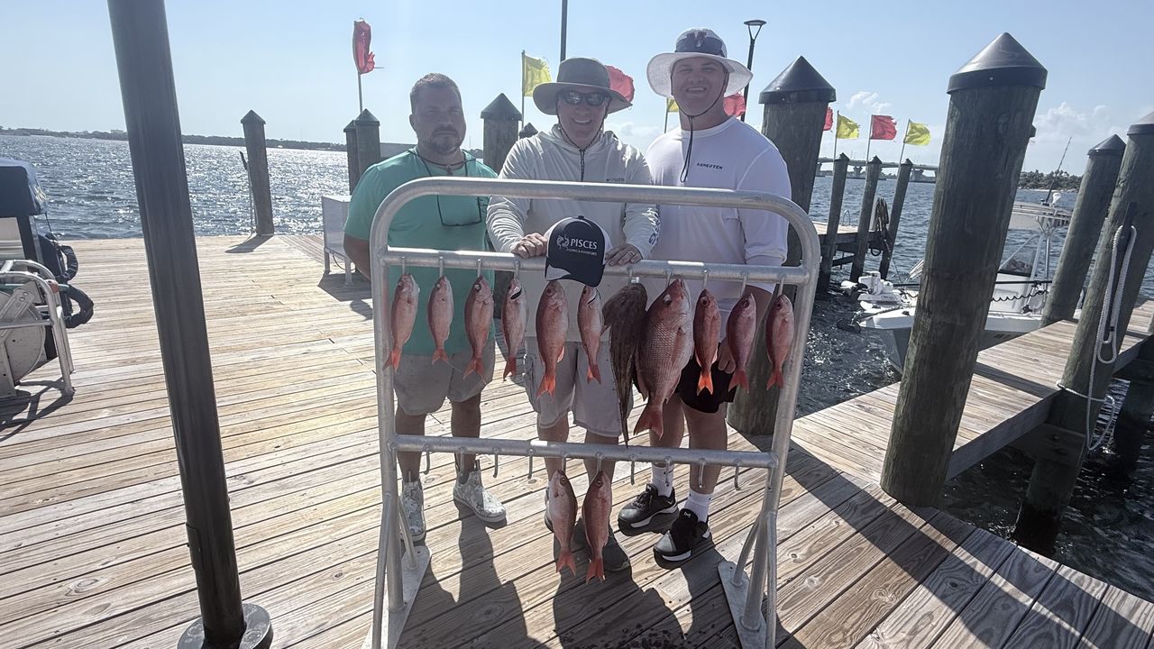 Five beautiful Panama City red snapper on display!