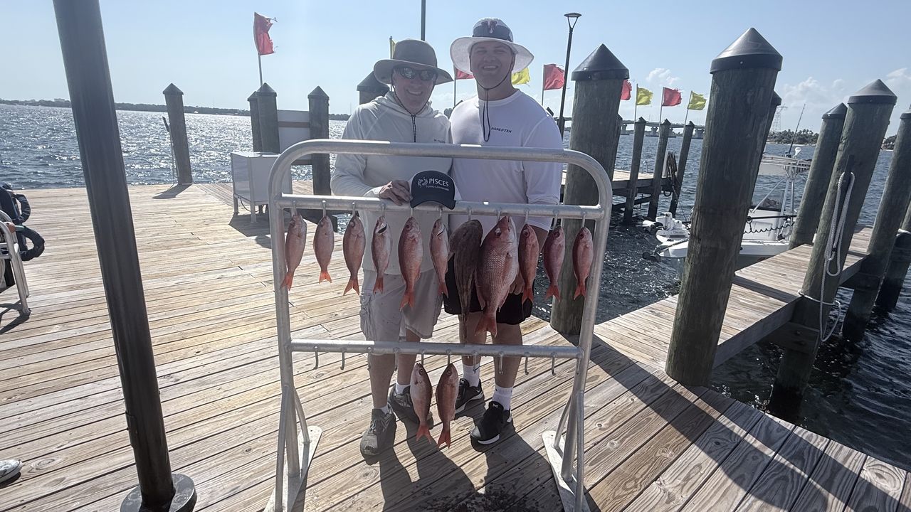 Four beautiful Panama City red snapper ready for the table!